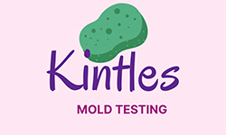 Kintles Mold Testing - Mold services